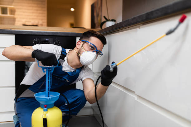 Best Best Pest Control Companies  in Island Lake, IL