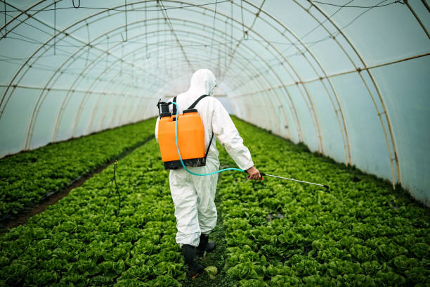 Professional Pest Control in Island Lake, IL
