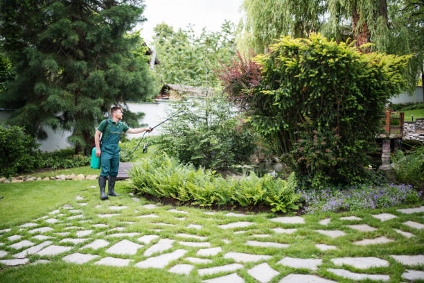 Best Pest Prevention Services  in Island Lake, IL