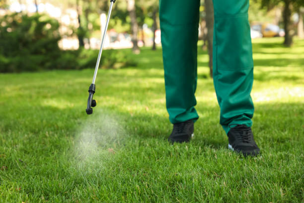 Best Pest Inspection Near Me  in Island Lake, IL