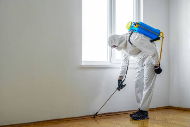 Best Exterminator Services  in Island Lake, IL