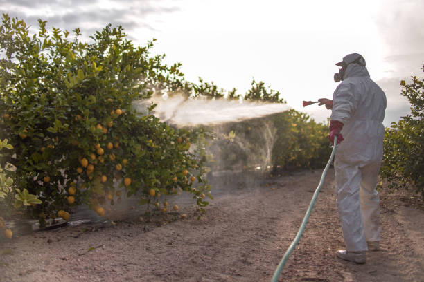 Best Best Pest Control Companies  in Island Lake, IL