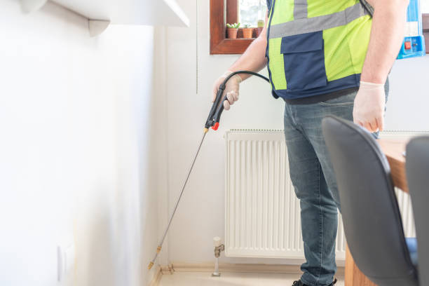 Best Termite Control Services  in Island Lake, IL