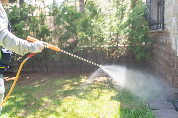 Best Wildlife Control Services  in Island Lake, IL