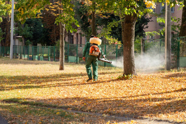 Pest Control Cost in Island Lake, IL