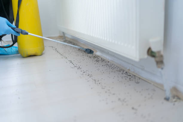 Best Pest Removal Services  in Island Lake, IL